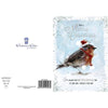 Robin Design Christmas Card