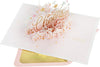 Stars & Banner Design 3D & Pop Up Cheers Birthday Card For Her