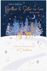 Winter Scene Reindeers Design Brother & Sister in law Christmas Card