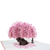 Pink Cherry Blossom Tree With Couple 3D Pop Up Greeting Card