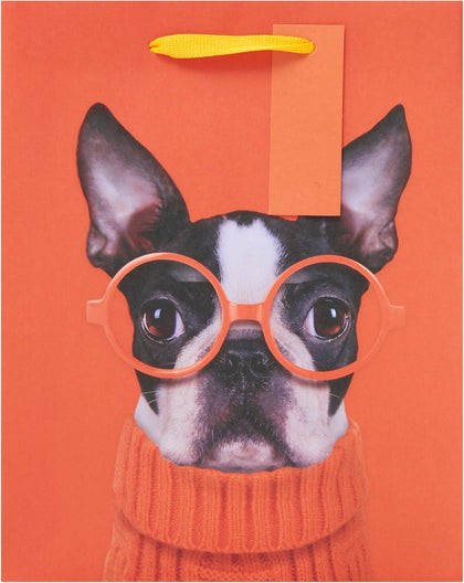 Funny Dog Design Medium Gift Bag For Kids Birthdays, Thank You & Other Events