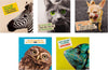Multipack of 10 in 5 Photographic Designs Funny Birthday Cards
