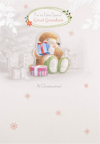 Special Great Grandson Christmas Card 