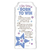 You Were Born To Win Sentimental Handcrafted Ceramic Plaque