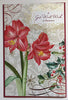 A Get Well Wish at Christmas, Christmas Greetings Card