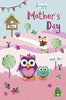 Owl's Open Mother's Day Quality Greeting Card