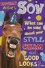 Son  Style, Charm and Good looks Humour Birthday Card