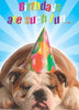 Birthdays Are Such Fun Dog Design 3D Holographic Birthday Card