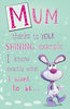 Mum Humour Mother's Day Greeting Card