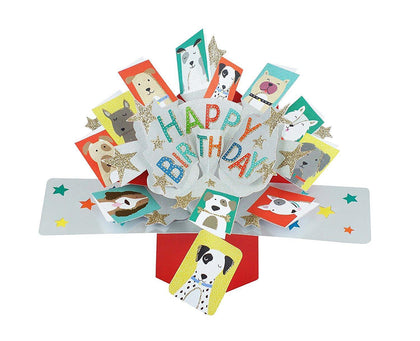 Collect Cards