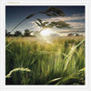 Thinking of You Colin Campbell Photographic All Occasion Card