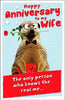 Wife Anniversary Fold Out Greetings Card Meerkat
