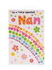 To a Very Special Nan Rainbow Flowers Birthday Greeting Card
