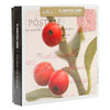 Christmas Wish Traditional Gallery Boxed Card (Pack of 10)