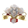 Reindeer's Open Christmas Pop Up Card