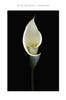 Thinking Of You Heartfelt Sympathy Card