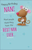 Cute Nan Crackers Birthday Card