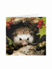 Hedgehog & Berries Blank Inside All Occasion Card