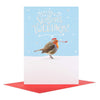 SEaSons TwEEtiNgs! Robin Christmas Greeting Card