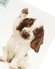 Cute Puppy Birthday Card Dog Card Blank Inside