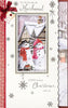 Husband Snow Couple Red Bow Die Cut Large Christmas Card