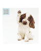 Cute Puppy Birthday Card Dog Card Blank Inside