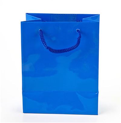 Small Gift Bag from Hallmark Plain Blue