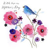 Second Nature Handmade Mother's Day Card In Bloom Range Blue Bird on Blossoms