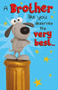 A Brother Like You Humorous Pop Up Birthday Card