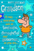 For Grandson Fantastic & Thought Wild Weekend Witty Words Birthday Card
