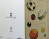 Grandson Different Sport Balls Design Birthday Card