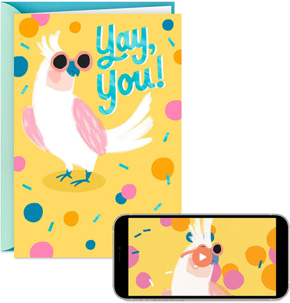 Personalized Video Congratulations Card, Yay You (Record Your Own Video Greeting)