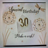 Second Nature Handmade 30 Birthday Card Notting Hill Range Dandelions