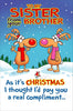 To My Sister From Your Brother Humour Christmas Card